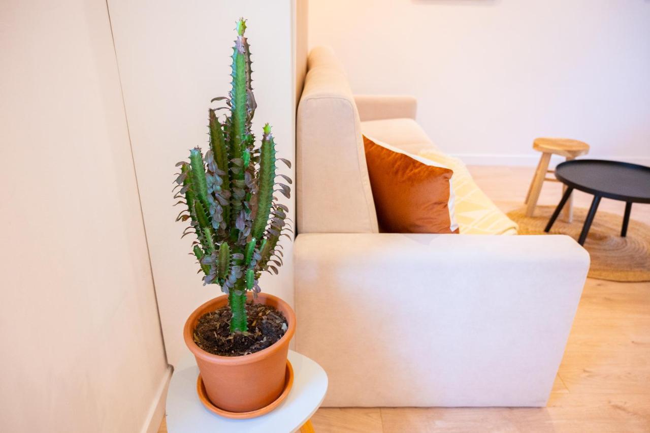 Appartement Cocooning Proche Mer Carqueiranne Εξωτερικό φωτογραφία