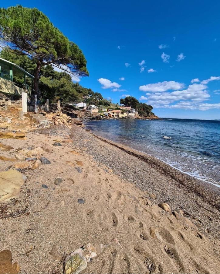 Appartement Cocooning Proche Mer Carqueiranne Εξωτερικό φωτογραφία