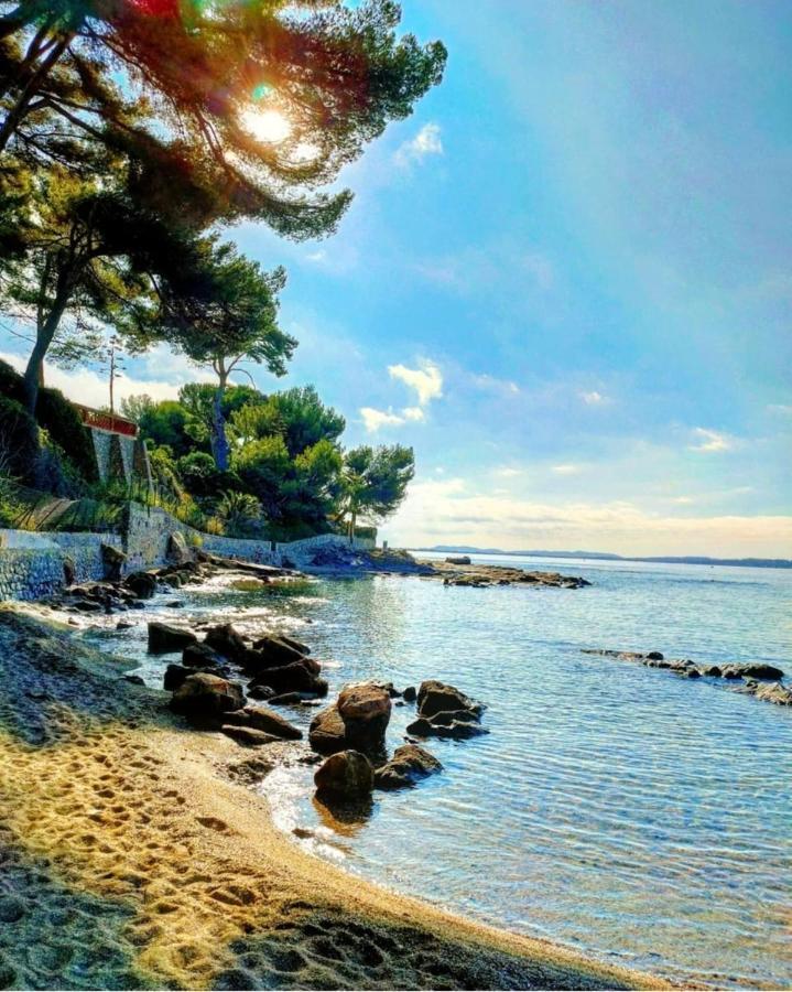 Appartement Cocooning Proche Mer Carqueiranne Εξωτερικό φωτογραφία