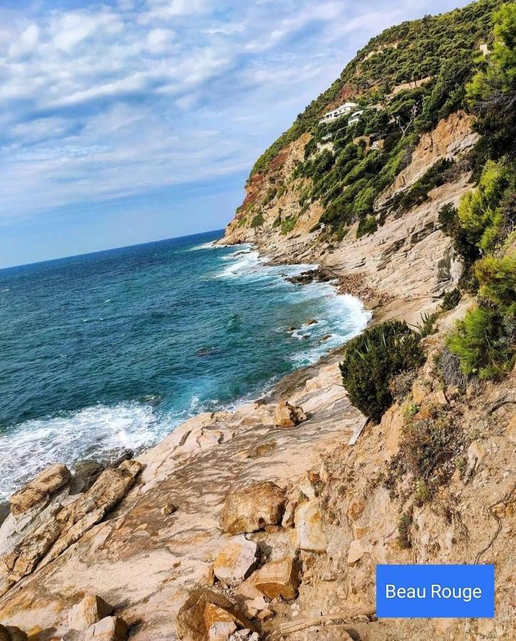 Appartement Cocooning Proche Mer Carqueiranne Εξωτερικό φωτογραφία