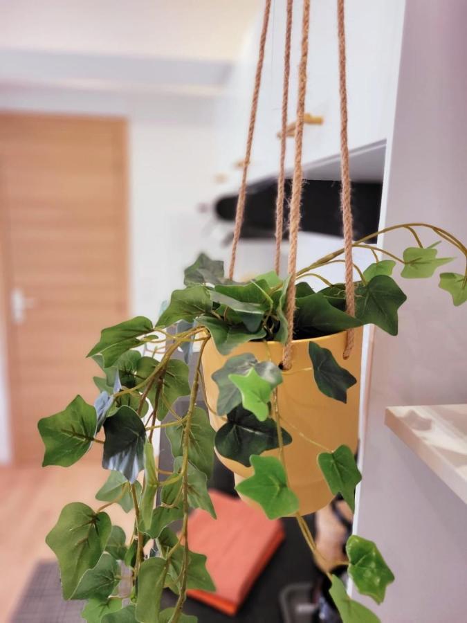 Appartement Cocooning Proche Mer Carqueiranne Εξωτερικό φωτογραφία